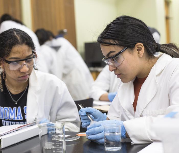 Two students in lab coats, seated doing a chemistry lab