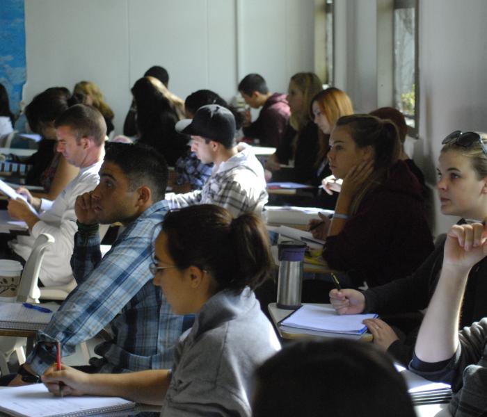 Students paying attention during an Anthropology lecture